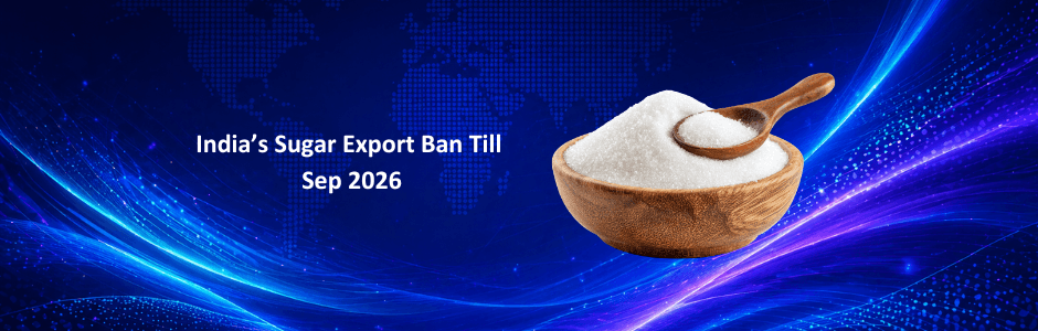 Sugar export ban impact chart showing Shree Renuka, Balrampur Chini stock decline