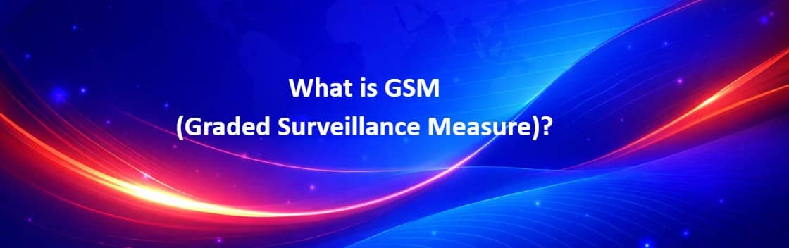 1.	Graded Surveillance Measure GSM framework explained