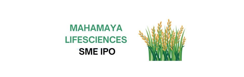 Infographic of Mahamaya Lifesciences product categories and IPO timeline