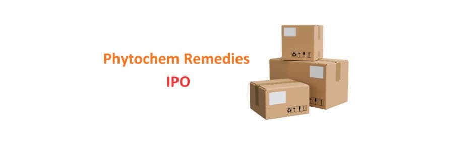 Investor analysing Phytochem Remedies IPO lot size 2400 shares and FY25 ROE 34% on trading app