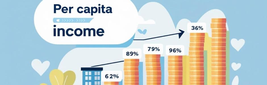 Graph showing per capita income growth in India