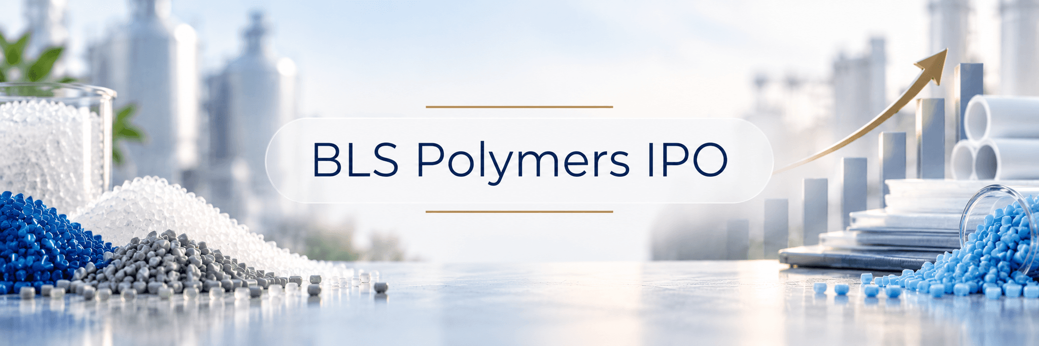 BLS Polymers IPO Details